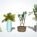 Bonsai Potted Plants With Various Green Plants And Ceramic Clay Concrete Planters For Indoor Decor