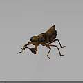 Detailed 3D Rendered Brown Striped Mantis Insect on Dark Background