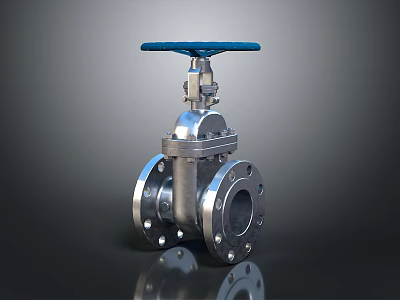 High Quality Stainless Steel Flange Valve With Blue Handle For Home Plumbing 3d model