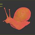 Snail With Red Shell Textured Body And Long Antennae On Gray Background