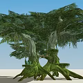 Giant Arbor With Green Mossy Trunk Small Green House Platform And Boat Surrounded By Vines