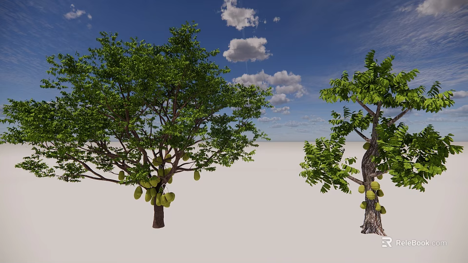 Jackfruit Trees With Lush Green Leaves And Ripe Fruits Under Blue Sky And White Clouds 3d model 