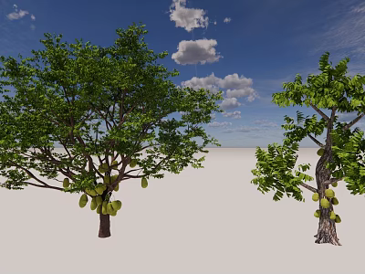 Jackfruit Trees With Lush Green Leaves And Ripe Fruits Under Blue Sky And White Clouds 3d model