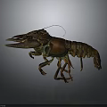 Realistic 3D Modeled Lobster In Standing Pose With Detailed Claws And Textured Shell