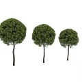 Decorative Plant Set With Three Round Green Topiary Plants For Indoor Home Decor Accent