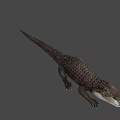 Realistic Crocodile With Open Mouth Detailed Scales And Sharp Teeth On Black Background
