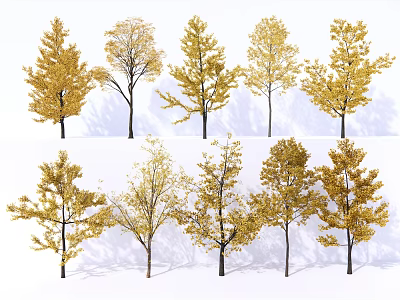 Golden Leaf Trees With Various Shapes And Autumn Foliage Collection 3d model