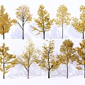 Golden Leaf Trees With Various Shapes And Autumn Foliage Collection