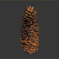 Natural Brown Pine Cone Decorative Home Decor Item With Conical Shape For Interior Decoration
