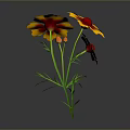 Vibrant Yellow and Red Flower with Green Stems and Leaves Against Gray Background