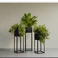 Stylish Potted Plants on Black Metal Stands Against Light Background and Gray Floor