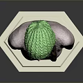 Woman wearing green knitted hat brown turtleneck with braid on white hexagonal base gray background