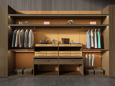 Modern Walk in Closet Interior Design With Hanging Rods Drawers And Decorative Shelves 3d model