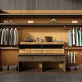 Modern Walk in Closet Interior Design With Hanging Rods Drawers And Decorative Shelves