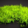 Vibrant Green Lush Grass With Natural Leaf Texture On Dark Background 3d model