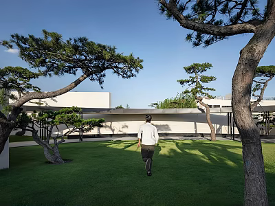 Serene Garden Landscape With Green Lawn Pine Trees White Buildings And Open Sky 3d model