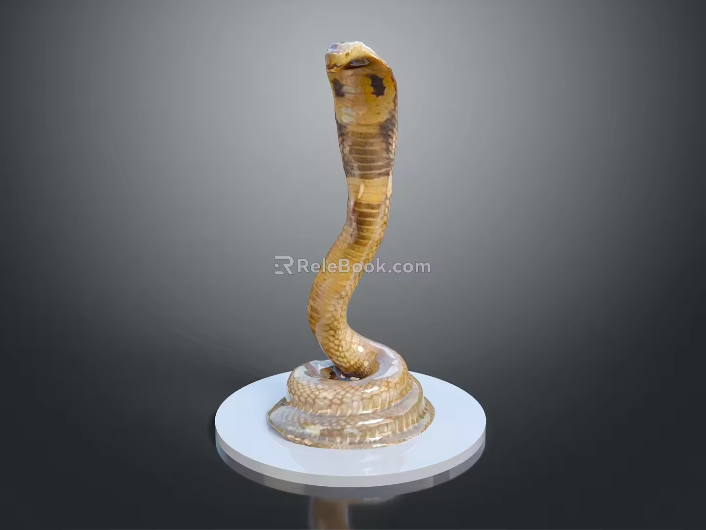 snake cobra venomous snake python reptile cold-blooded animal reptile 3d model