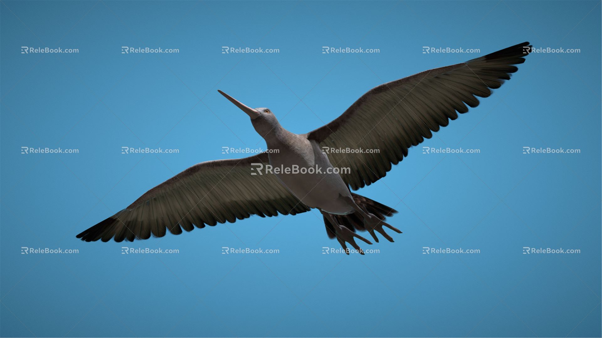 Modern bird cartoon eagle 3d model