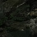 Natural Cave Entrance View with Flowing Stream and Overcast Sky like Lush Vegetation and Rocks