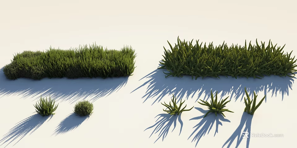 Different Types of Green Grass and Plants with Natural Shadows and Clumps 3d model 