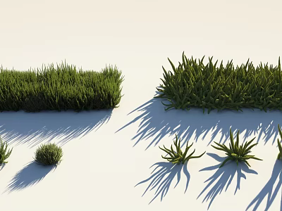 Different Types of Green Grass and Plants with Natural Shadows and Clumps 3d model