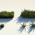 Different Types of Green Grass and Plants with Natural Shadows and Clumps
