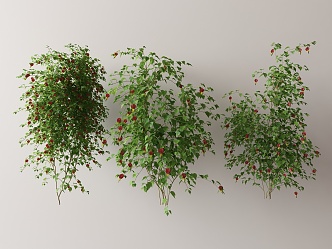 Modern Vine 3d model