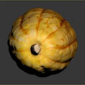 Fresh Yellow Pumpkin with Orange Spots and Long Shape on Black Background with Bottom Reflection