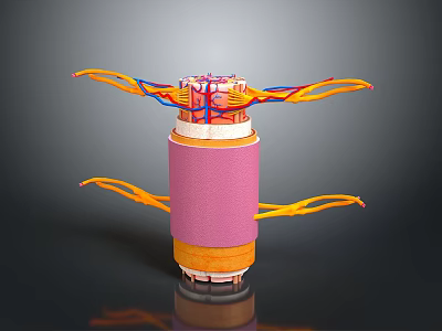 Limb Organ 3D Anatomical Model With Neural Branches And Vessel Like Extensions 3d model