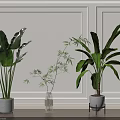 Indoor Decorative Potted Plants with Large Leaves Bamboo White Pots Clear Vase Black Stand