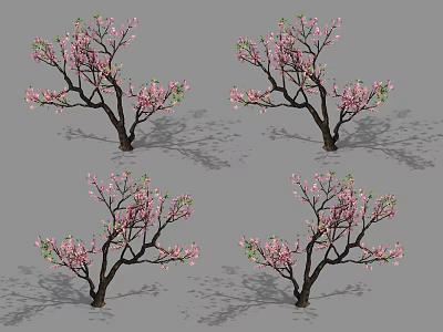 Flowering Arbor With Pink Blossoms Green Leaves And Sturdy Branches 3d model