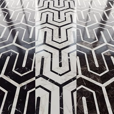 Modern Black And White Geometric Pattern Marble Floor Tiles With Hexagon Lines 3d model