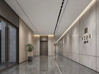 Modern Elevator Hallway With Sleek Stone Walls Recessed Lighting Polished Floor And Potted Plant 3d model
