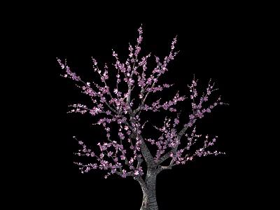 Blooming Arbor With Pink Blossoms And Delicate Branches On Black Background 3d model