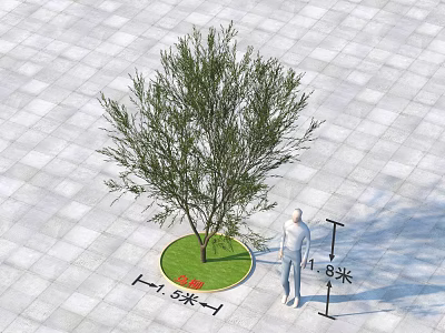 Shrub In Circular Planting Area With 1.5m Diameter 1.8m Height On Square Paved Ground 3d model