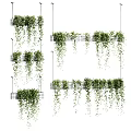 Decorative Plant Ornament Set With Hanging Green Vines And Grid Wall Design