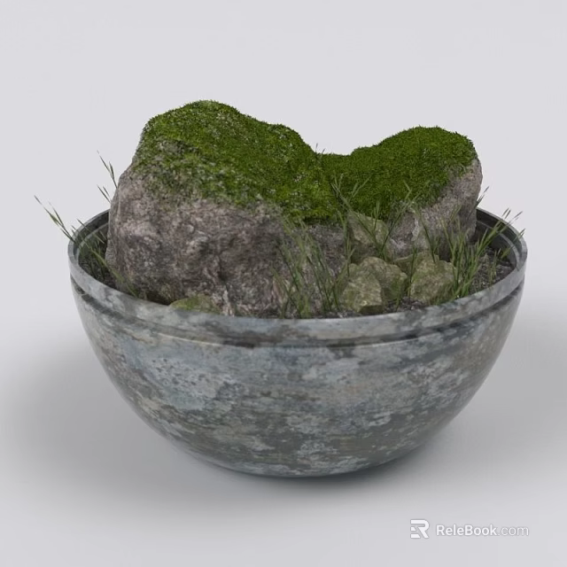 Green Moss and Grass Plants Growing in Decorative Stone Bowl with Rock 3d model 