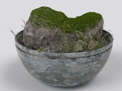 Green Moss and Grass Plants Growing in Decorative Stone Bowl with Rock 3d model