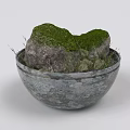Green Moss and Grass Plants Growing in Decorative Stone Bowl with Rock