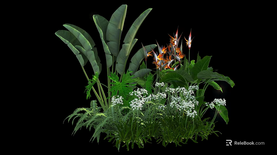 Shrubs With Large Green Leaves Small White Flowers And Orange Red Blooms In Garden 3d model 