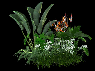 Shrubs With Large Green Leaves Small White Flowers And Orange Red Blooms In Garden 3d model