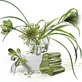 Decorative Glass Vases With Green Plants And Spherical Blooms On White Pedestal