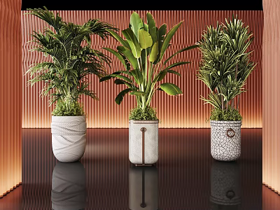 Stylish Indoor Plant Combination With Three Green Foliage Plants And Decorative Ceramic Pots 3d model