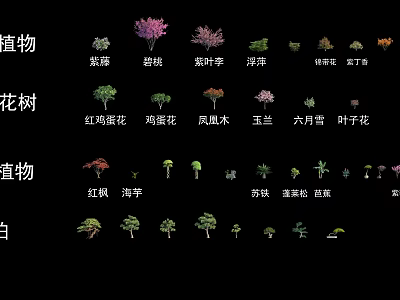 Diverse Ornamental Shrubs In Garden Landscape With Purple Plum Peach Blossom And June Snow 3d model