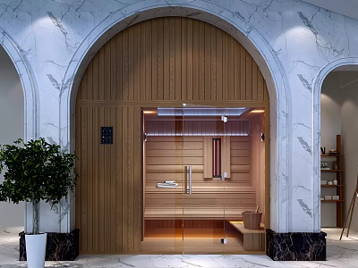 Modern Shower Sauna Interior Design With Warm Wooden Walls Glass Door And Bench 3d model