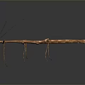 Stick Insect With Long Slender Brown Body Thin Legs On Dark Background And Surface Reflection 3d model