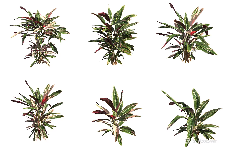 Colorful Indoor Foliage Plants With Green Red Purple Leaves And Various Species 3d model 