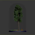 Green Tree Inside Transparent Glass Dome With Green Grass Orange Sand On Blue Base