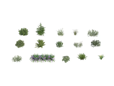 Diverse Collection of Various Green Plants and Shrubs for Garden Landscaping 3d model