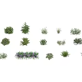 Diverse Collection of Various Green Plants and Shrubs for Garden Landscaping